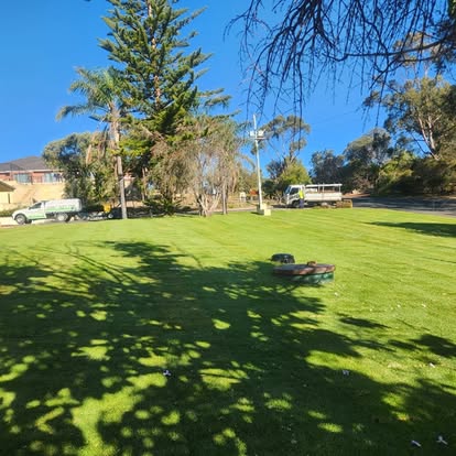 Lush green lawn - Fergie's Total Lawn Care - Australind - Bunbury - Western Australia Lush green lawn - Fergie's Total Lawn Care - Australind - Bunbury - Western Australia