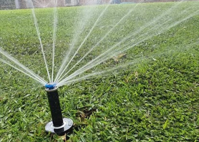 Reticulation in action Fergie's Total Lawn Care Bunbury WA