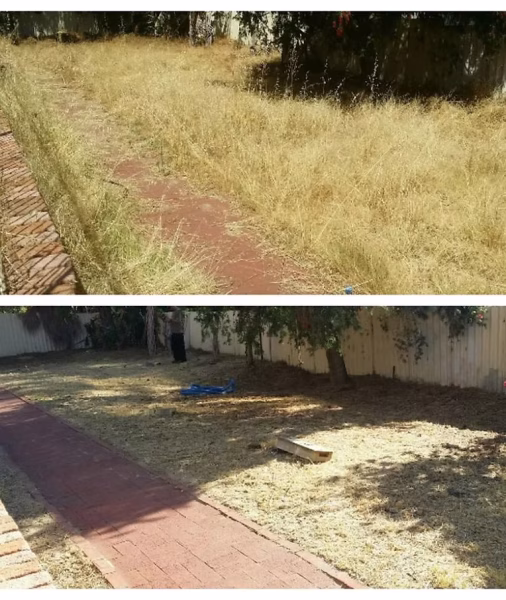 Yard clean up - Fergies Total Lawn Care - Bunbury- Western Australia 
